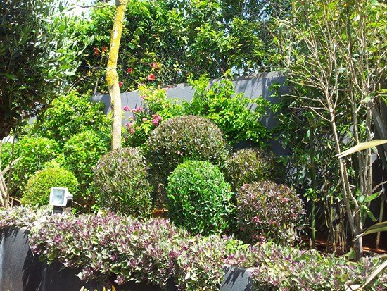Jardin topiaire Touche Verte