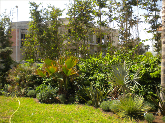 Jardin exotique Touche Verte
